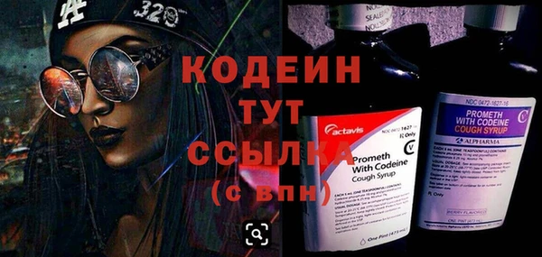 2c-b Краснослободск